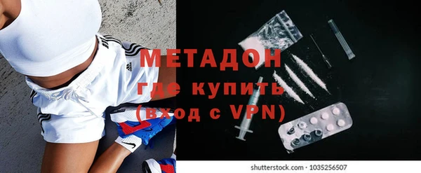 сатива Куйбышев