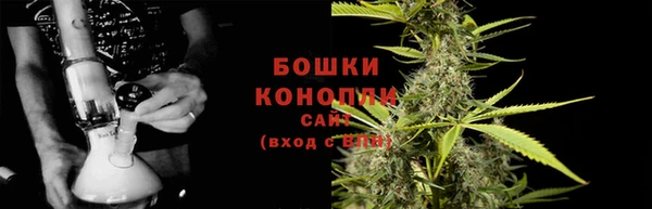сатива Куйбышев