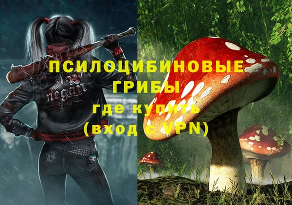 МДПВ Кукмор