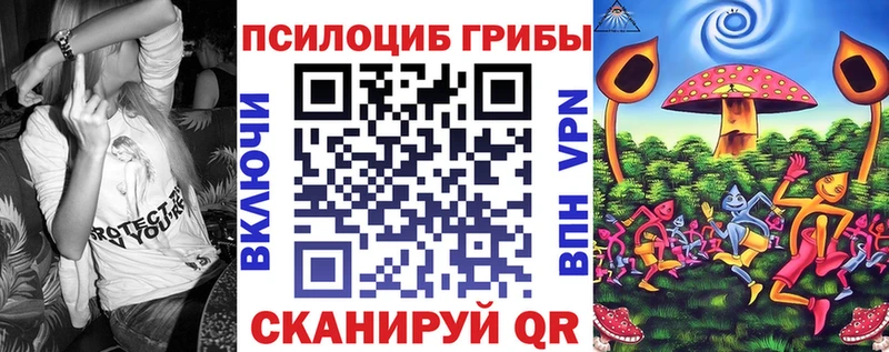 купить  сайты  Курчатов  Псилоцибиновые грибы мицелий 
