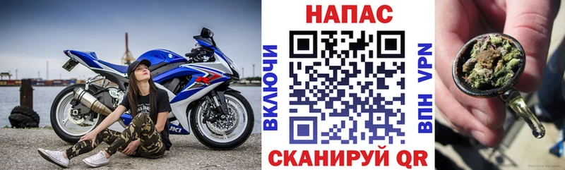 МАРИХУАНА семена Курчатов